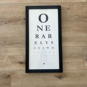 Framed Z Gallerie One Rarely Sees Eye Chart Wall Art